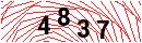 Security Verification
