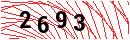 Security Verification
