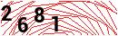 Security Verification