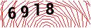 Security Verification