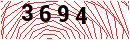 Security Verification