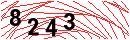 Security Verification