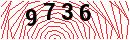 Security Verification