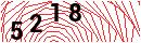Security Verification