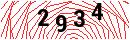 Security Verification