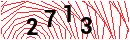 Security Verification