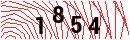 Security Verification