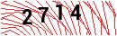 Security Verification
