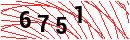 Security Verification