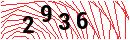 Security Verification
