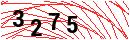 Security Verification