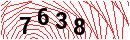 Security Verification