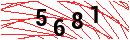 Security Verification