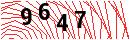 Security Verification