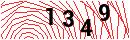 Security Verification