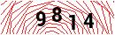 Security Verification