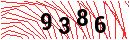Security Verification