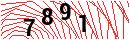 Security Verification