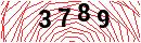 Security Verification