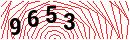 Security Verification