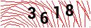 Security Verification