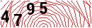 Security Verification