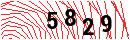 Security Verification