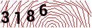 Security Verification
