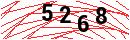 Security Verification