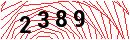 Security Verification