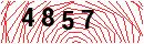 Security Verification
