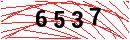 Security Verification