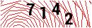 Security Verification