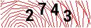 Security Verification