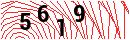 Security Verification