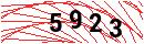 Security Verification