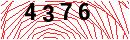 Security Verification