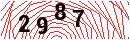 Security Verification