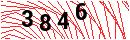 Security Verification