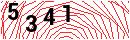 Security Verification