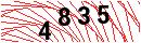 Security Verification