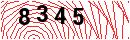 Security Verification