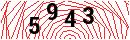 Security Verification
