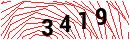 Security Verification