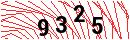 Security Verification