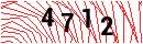 Security Verification