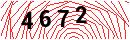 Security Verification