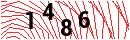 Security Verification