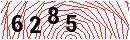 Security Verification