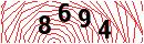 Security Verification